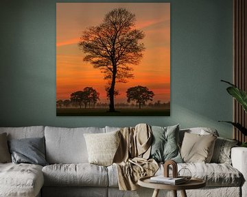 Sunset Tree van Martin Podt