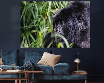Family ties in green - The life of the mountain gorilla by Rick Massar