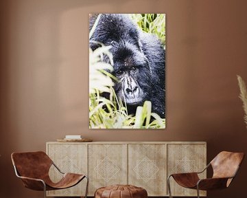 Mgahinga National Park - Home of the last giants by Rick Massar
