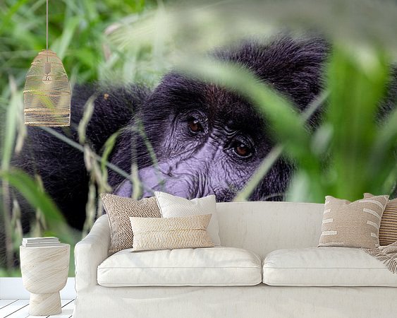 Raumvorschau