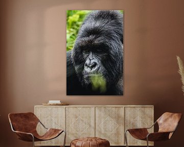 Guardians of the mountains - Mountain gorillas in their natural wealth by Rick Massar