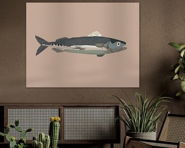 Sardine Illustration by Studio Olivia