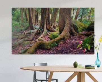 Forêt tropicale sur Bram de Jong