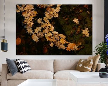 Submerged autumn by John Goossens Photography