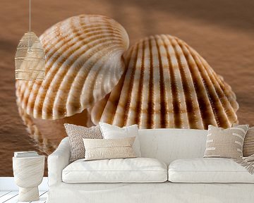Warm colours: Two shells together by Marjolijn van den Berg