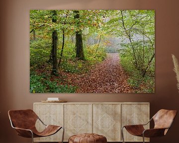 Autumn in the rain by Colico