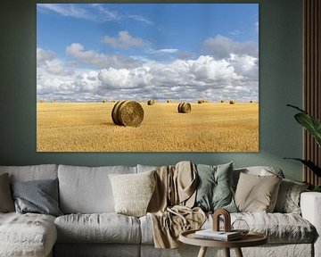 Grand paysage avec des bottes de foin sur Colico
