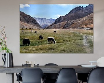 Herd of yaks at Tash Rabat, Kyrgyzstan by Ton Wever