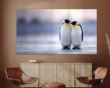 twee pinguins van Koffie Zwart