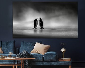 two penguins