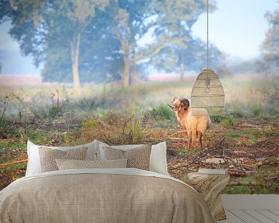 Raumvorschau
