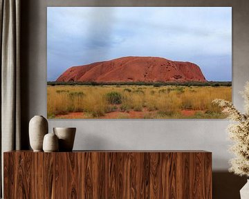 Close-up van Uluru,  of Ayers Rock, Noordelijk Territorium, Australië sur Henk van den Brink