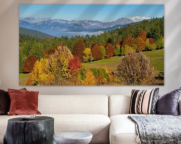 Alpenpanorama mit Blick auf den Mont Blanc von Tanja Voigt
