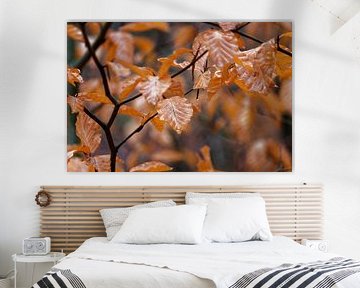 Braune Herbstblätter