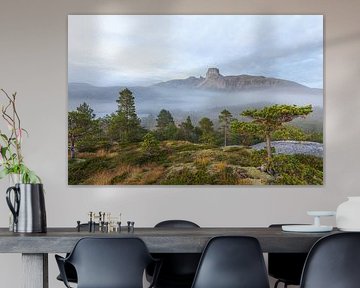 Magical morning fog at Steigtinden near Bodø.