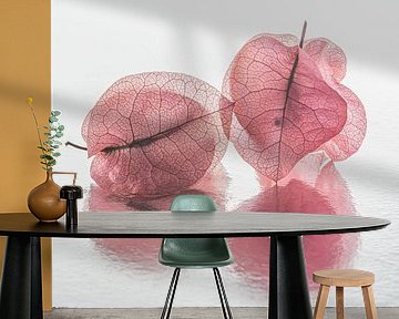 Pink transparency: Two leaves of the Bougainvillea by Marjolijn van den Berg