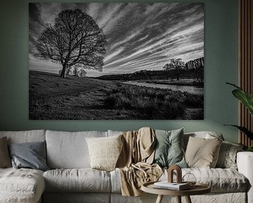 Parc du château d'Alnwick sur Michael Brand