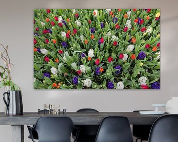 Different flowers tulips and hyacinths in flower field by Ben Schonewille