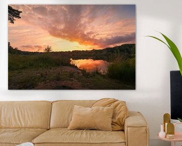 Sunset at the Staalbergven - Oisterwijkse Bossen en Vennen