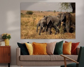 Elephants of Kidepo - Giants of silence by Rick Massar