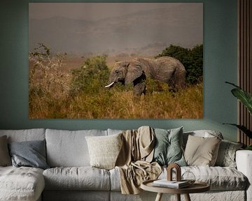 Under the African sun - The power of Kidepo's elephants by Rick Massar