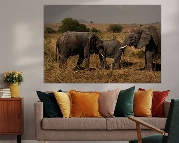 Majestic steps - Elephants in the golden light by Rick Massar