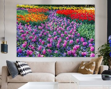 Flowers field of pink hyacinths and red tulips in Keukenhof Holland sur Ben Schonewille