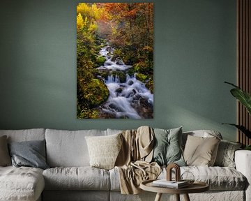 Forêt d'automne en Slovénie