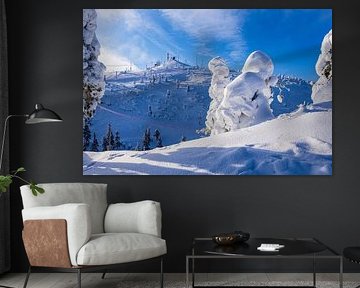 Landschap met sneeuw en bomen in de winter in Ruka, Finland