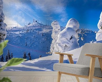 Landscape with snow and trees in winter in Ruka, Finland