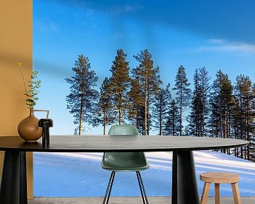 Landscape with snow in winter near Kuusamo, Finland