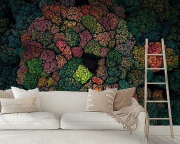 Herbstliche Farbpalette von Bas van der Gronde