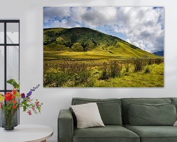 Les prairies verdoyantes du Bromo Tengger sur Frank Photos