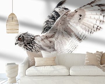 Owl With Spread Wings in High-Key Style by Femke Ketelaar