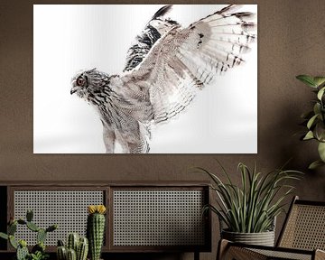 Owl With Spread Wings in High-Key Style