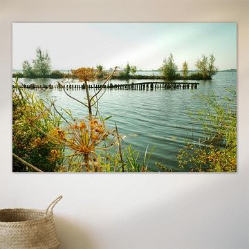Zomers uitzicht over het Schildmeer vanaf natuurgebied Tetjehorn