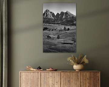 Alpe di Siusi in the Dolomites in black and white