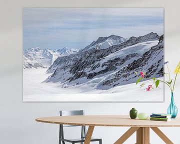 Bernese Alps - Aletsch Glacier