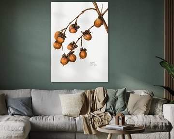 Persimmon (1920)