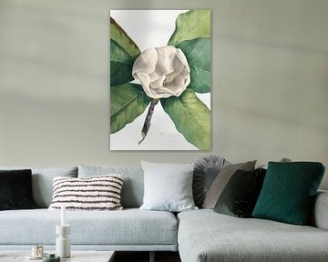 Southern Magnolia (1918)