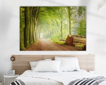Boslaan in Ruinen - la paix dans les bois sur KB Design & Photography (Karen Brouwer)