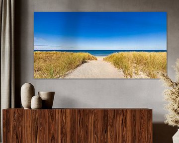 Weg zum Strand im Ostseebad Dierhagen an der Ostsee von Werner Dieterich