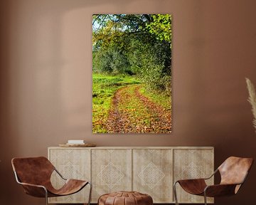 Landweg naast bosrand in de Herfst van Evert Jan Luchies