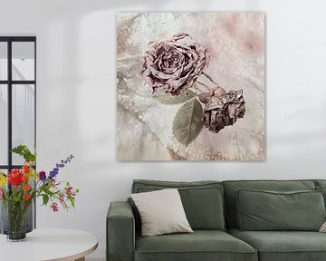 Rose fanée sur A perfect day studio