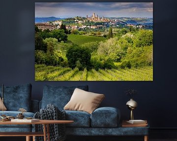 View of San Gimignano 7, Italy by Adelheid Smitt