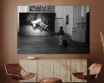 Woman looking at a photograph of a rhino, made by Neil Aldridge. by JRobert Photography