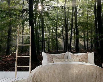 Sonnenharfe im Wald von Jurjen Melinga