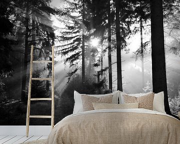 Eine Explosion des Lichts von Jurjen Melinga