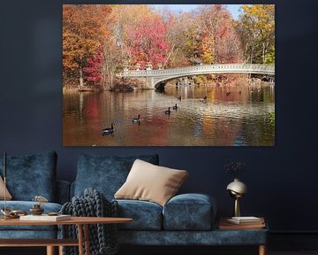 De Bow Brige in Central Park - New York