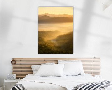 Fantastique lever de soleil sur la forêt du Palatinat